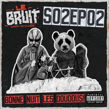 Pochette de Le Bruit