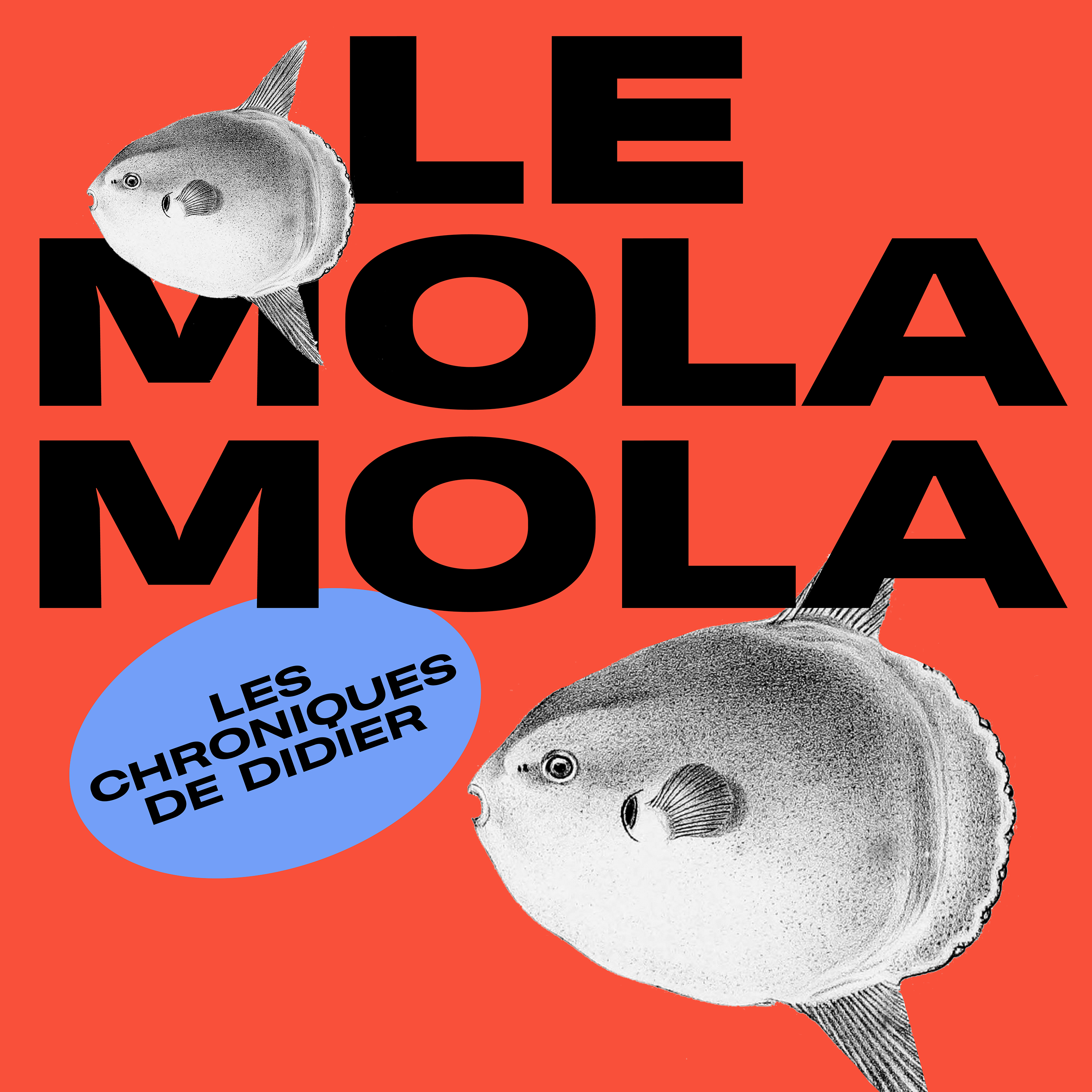 LE MOLA MOLA #34 – MOUSE RAT