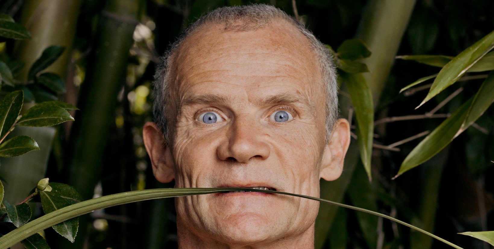 FLEA avec des enfants et expert du ROCK !