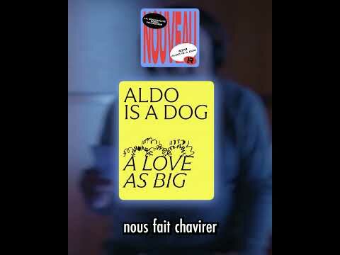 LA NOUVEAUTE ROCK FRANCAISE #211 - ALDO IS A DOG "Love Song"